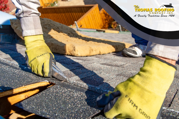 Is your home ready for spring in Lutherville-Timonium? Here are some roof care and repair ideas for the season.
