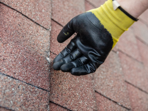 Roof Insurance Claims Assistance in Columbia - Thomas Roofing