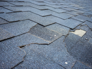  Damaged Roof Shingles in Pikesville - Thomas Roofing