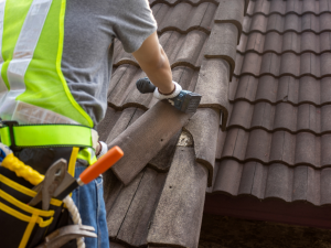 Regular Roof Maintenance Tips for Westminster Homes - Thomas Roofing