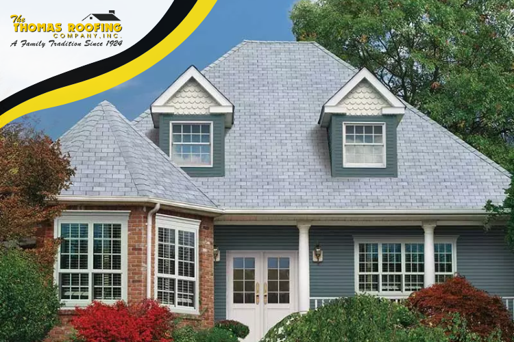 Westminster Roof Repair: Spotting Early Signs of Damage for Preventive Care