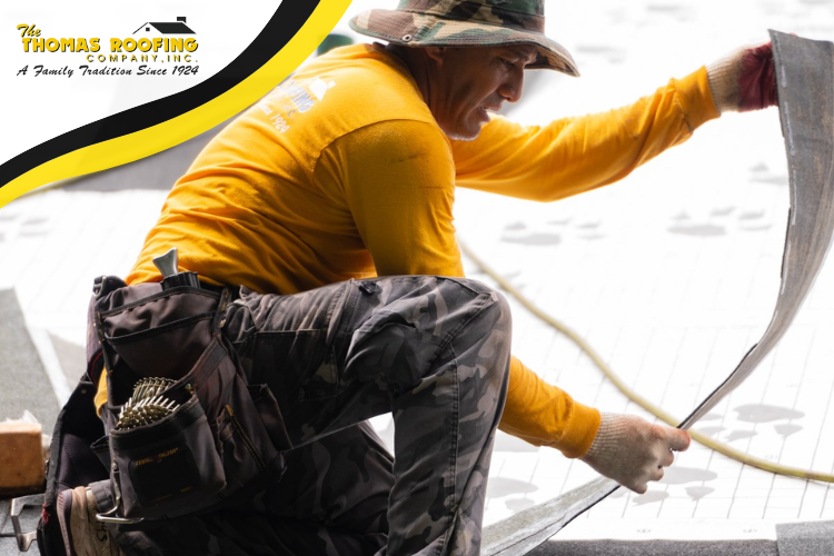 Eco-Friendly Roofing Options for Sustainable Homes in Columbia, MD.