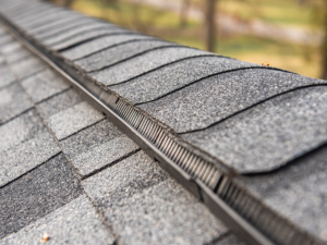 Columbia's Preferred Roofing Contractor Provides Eco-Friendly Roofs