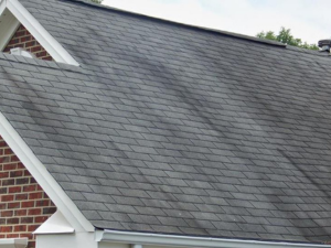 A roof that in need of treatment for blue-green algae in Columbia