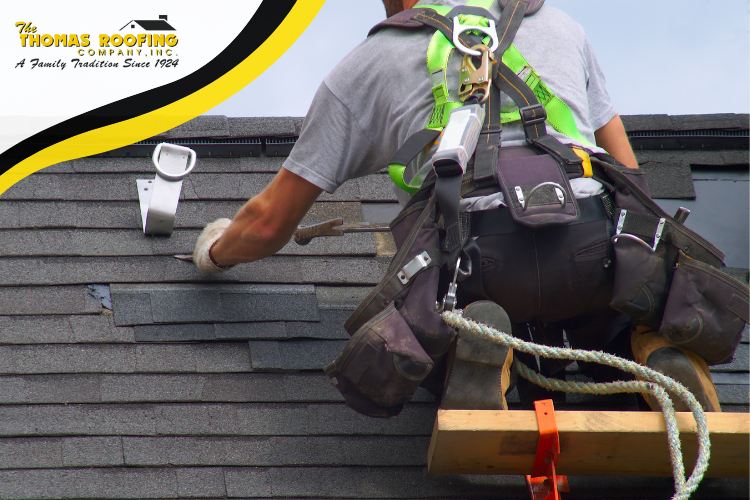 Columbia roof repairs to remove algae stains