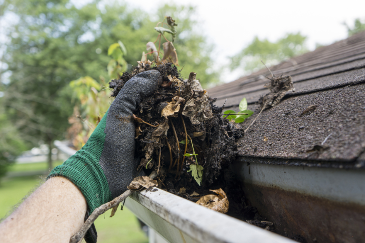 Clean gutters for proper water drainage